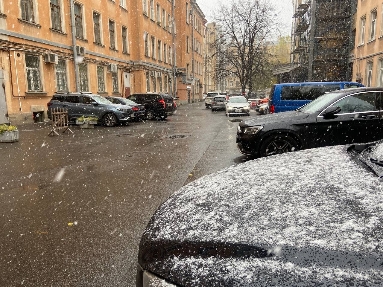 Жителей Петербурга 7 декабря ждет мокрый снег