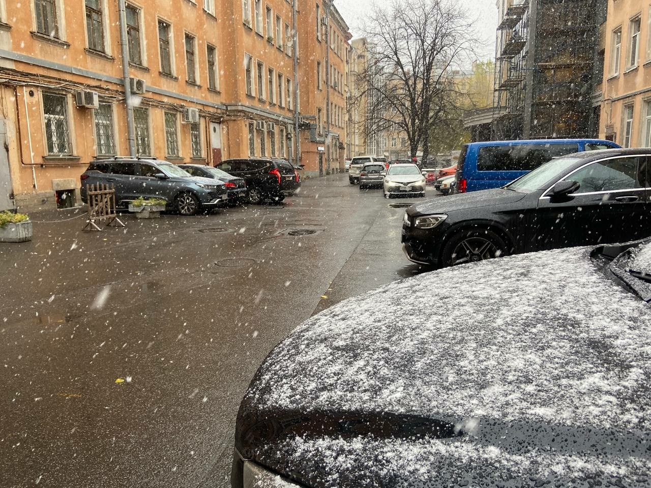 Жители Петербурга промерзнут 13 ноября из-за дождей и сильного ветра