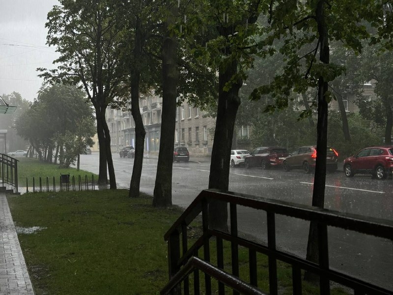 Сухая погода и +25 градусов продержатся в Петербурге с 1 по 3 июля