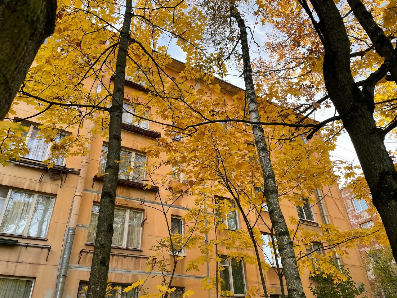 В Петербурге 5 ноября может принести новые температурные рекорды