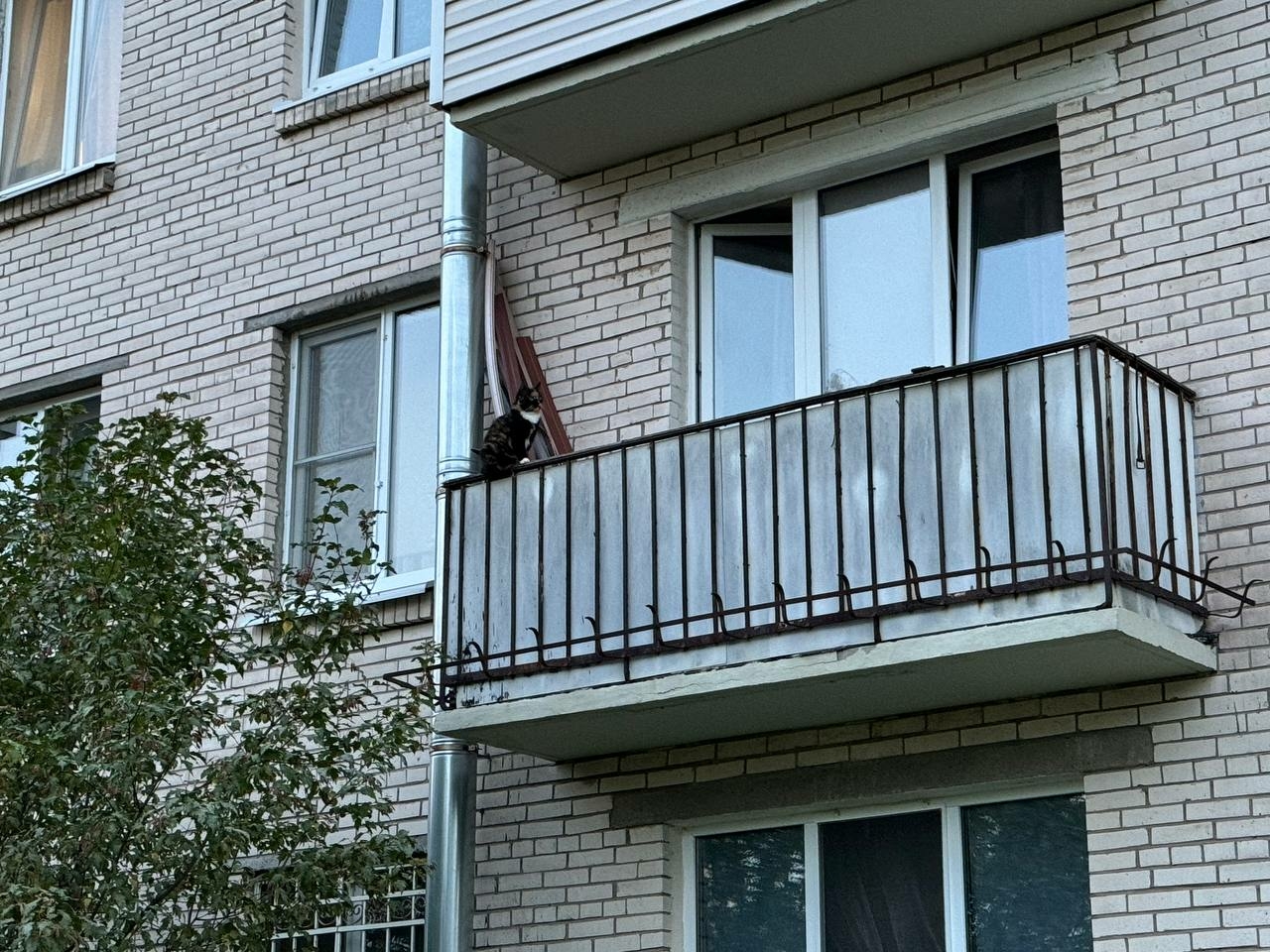 Врачи спасают трехлетнего малыша, выпившего химию из-за невнимательности петербурженки
